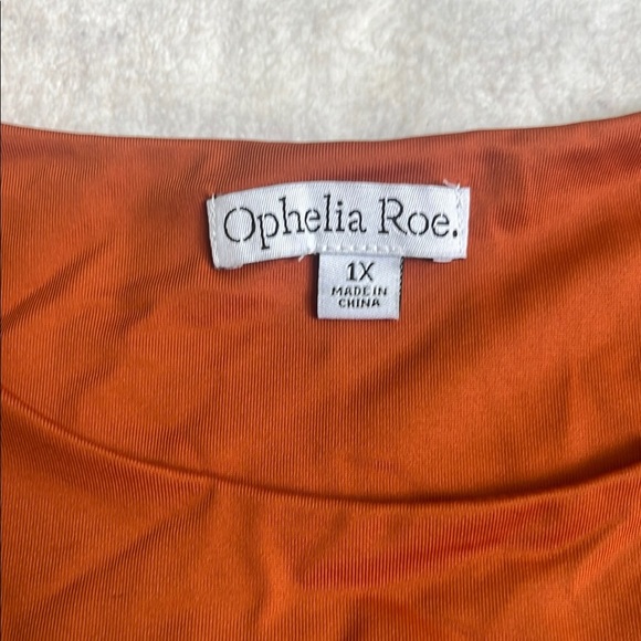 Rust Sleeveless Boxy Crop Muscle Tee - Picture 2 of 6